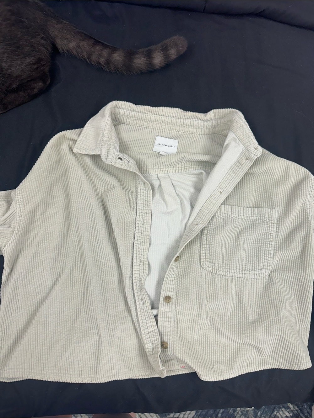 Light green cardigan button up cropped
